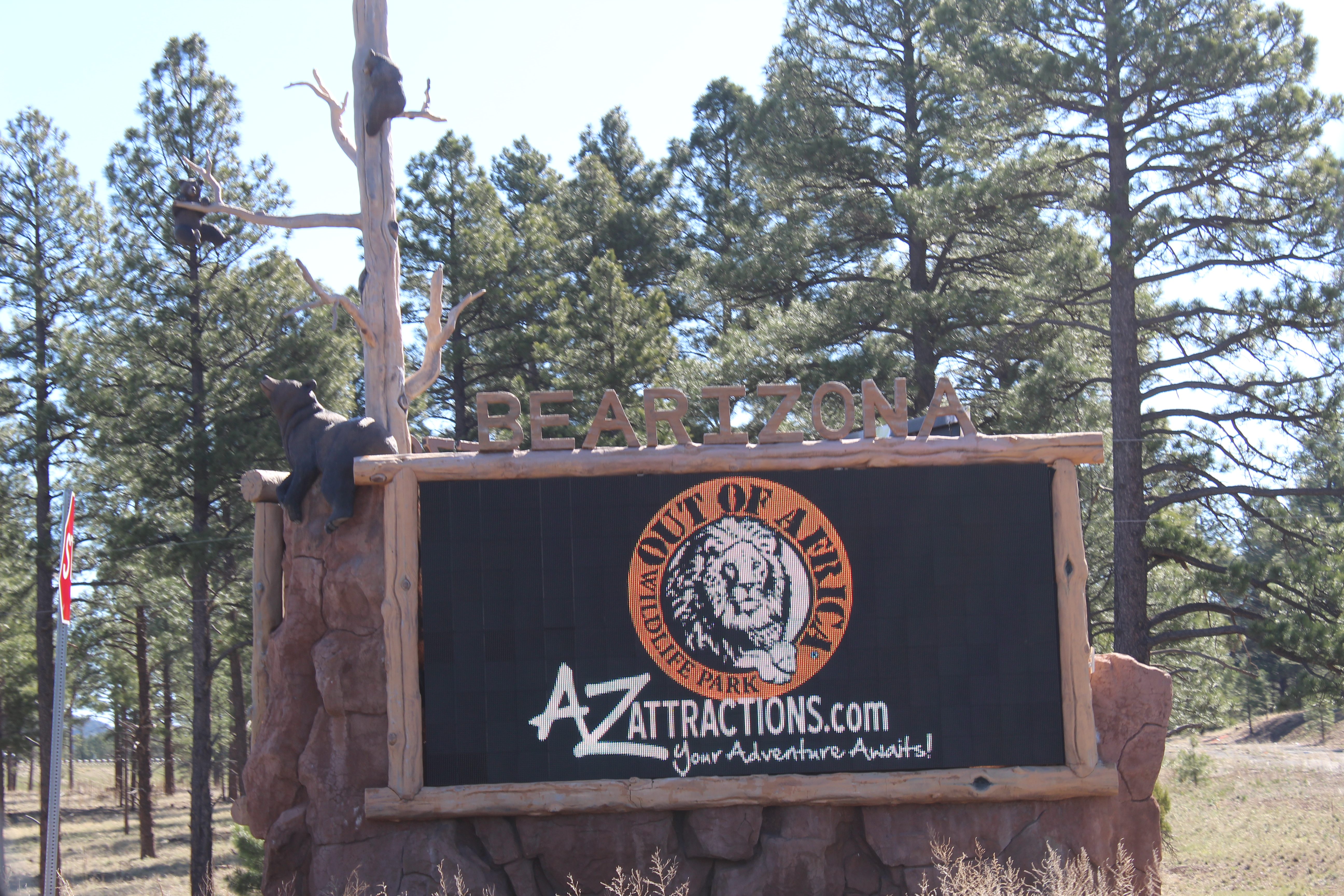 Bearizona Sign in Williams, Arizona