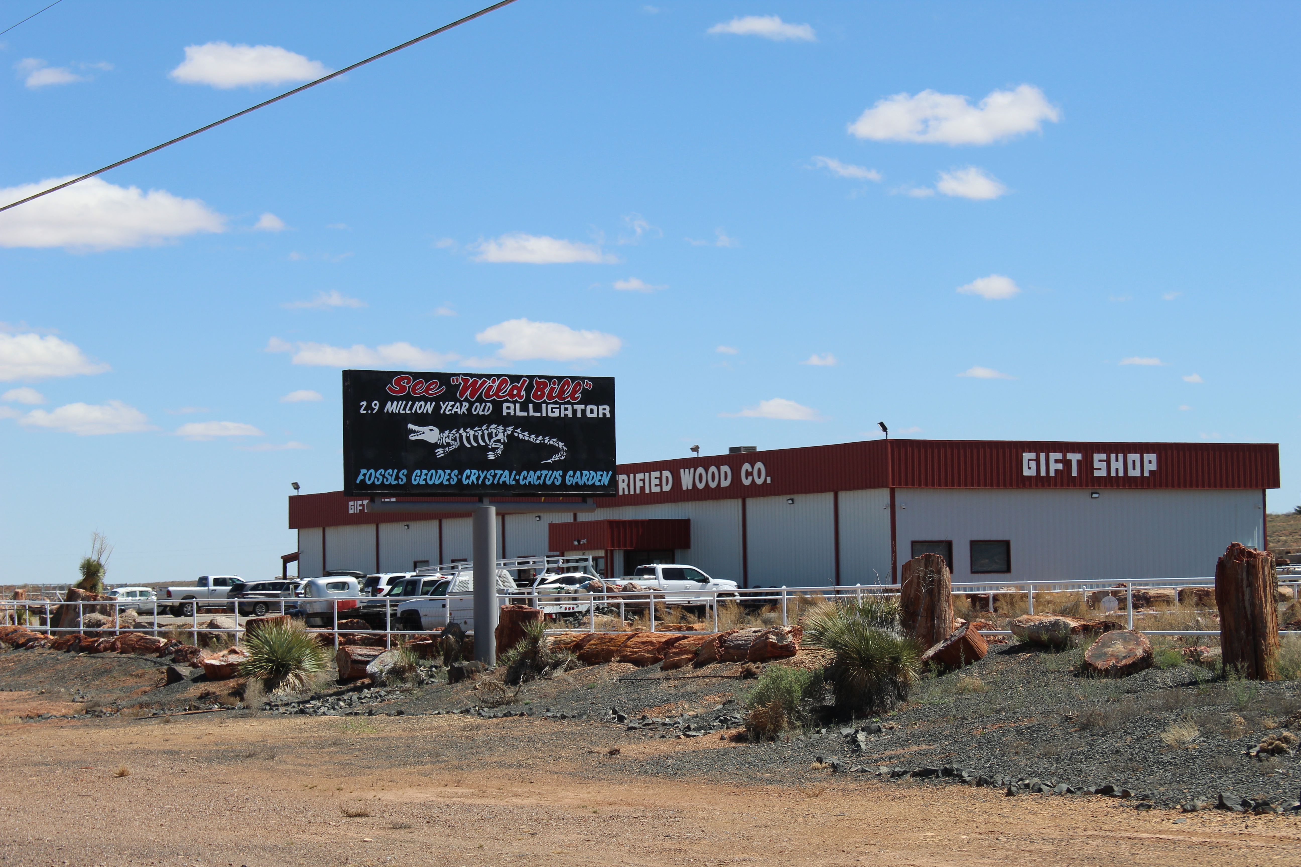 Petrified Wood Direct in Holbrook, Arizona